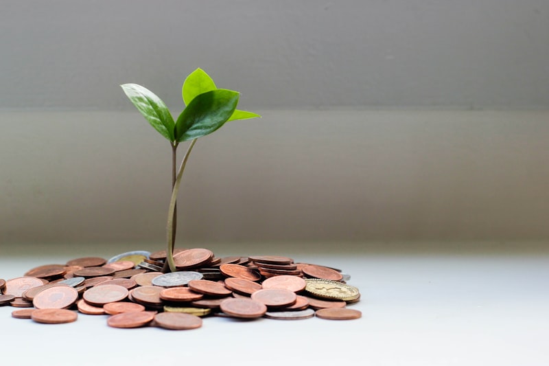 Emergency Loan